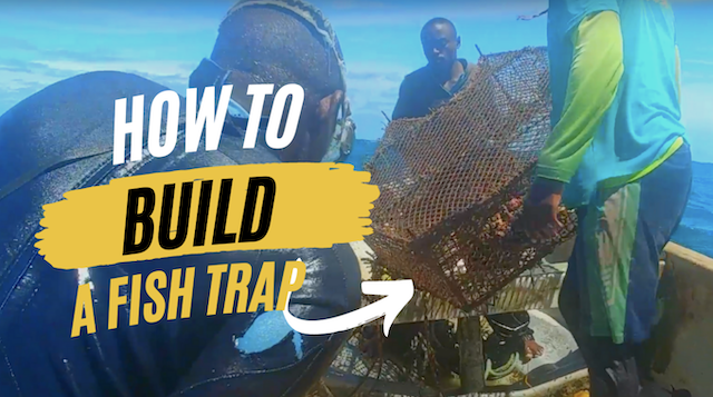 Video: How to Make a Sustainable Fish Trap, DIY