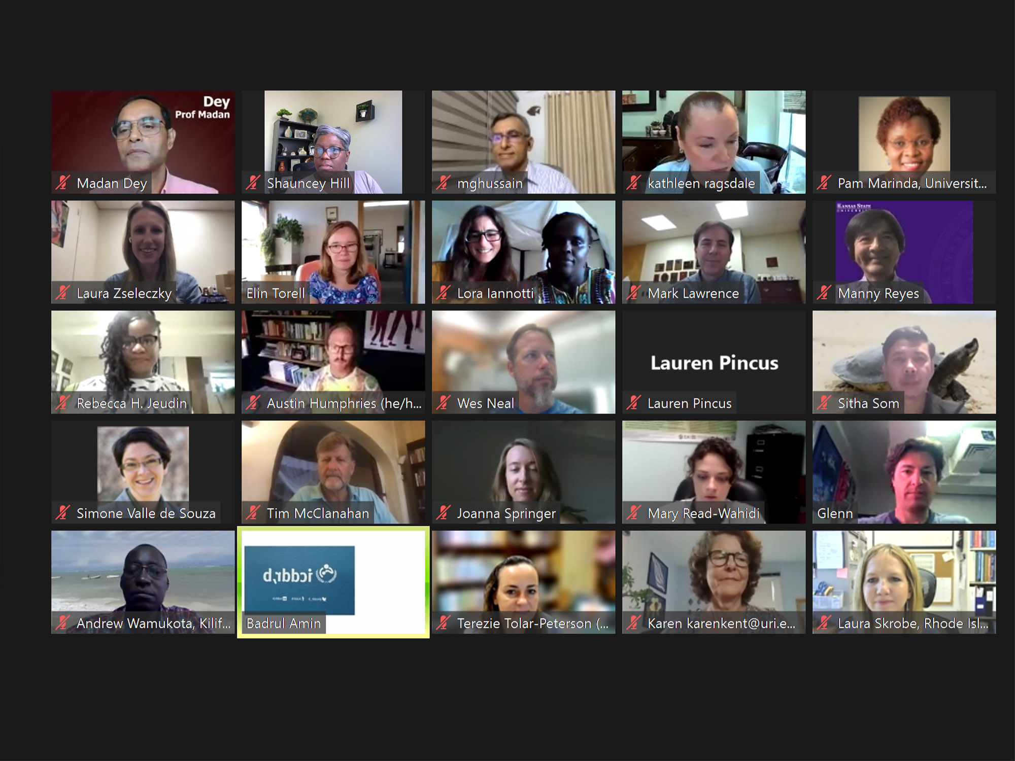 A screenshot of the Annual Meeting shows the participants.