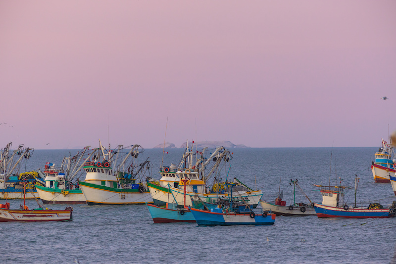 a pier in Paracas, Peru, showing several fishing ships