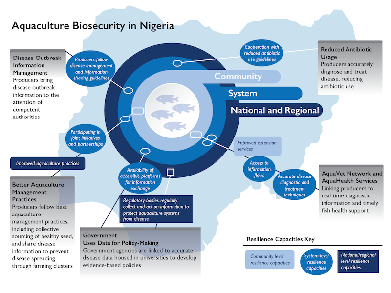 a graphic depicting the different channels the Improving Biosecurity team in Nigeria are working on to improve resilience