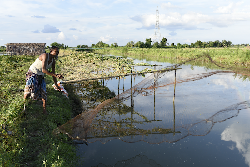 Man throwing net into aquaculture pond