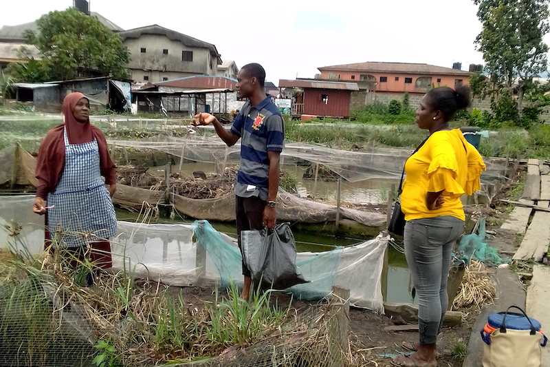 A man and woman speak with a female aquaculture farmer near her ponds in Delta State, Nigeria