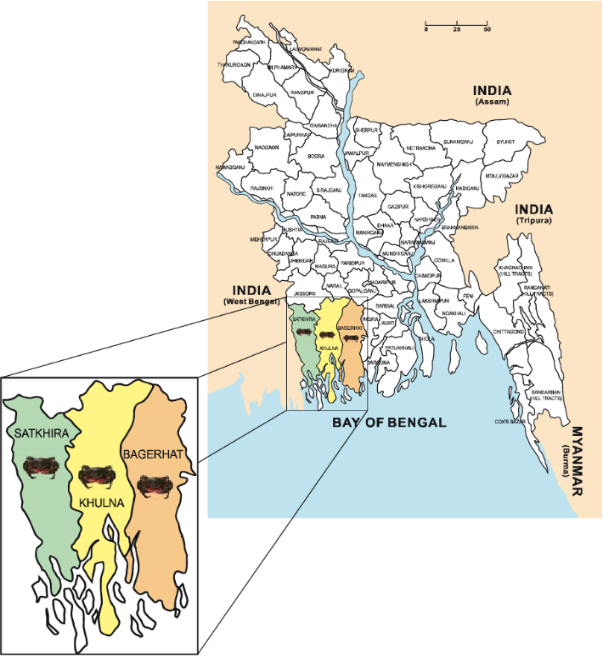 a map of the crab farming areas visited in Satkhira, Khulna, and Bagerhat in the southwest region of Bangladesh