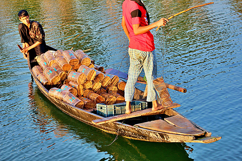 Figure 5. Harmful bamboo made traps were being used to harvest large numbers of small prawns and indigenous small and medium sized fish species at the Tanguar Haor wetland.