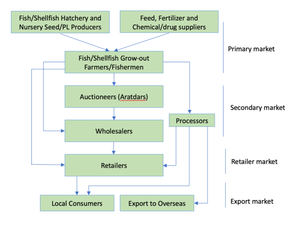 Figure 1. Inland aquaculture value chains (modified after Haque, 2020)