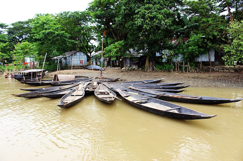 Long wooden fishing boats tied to pole at edge of wetland