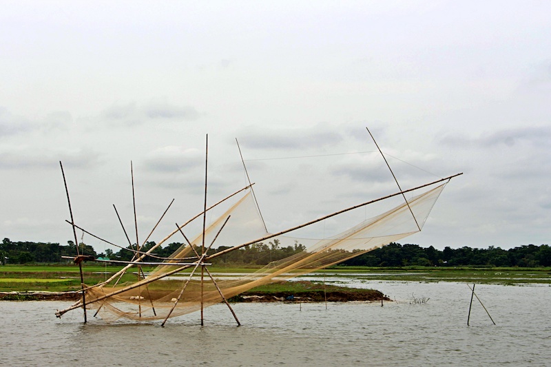 Large net stretched over several poles in flooded wetland
