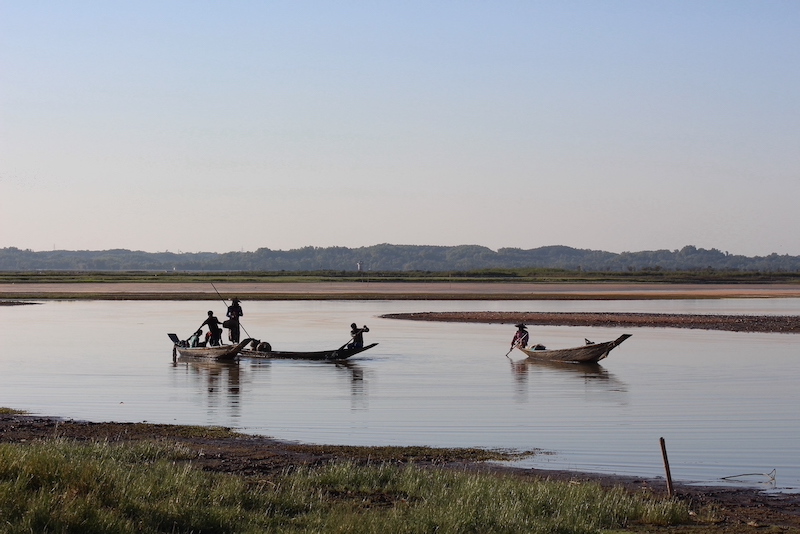 Fishermen on boats in a wetland