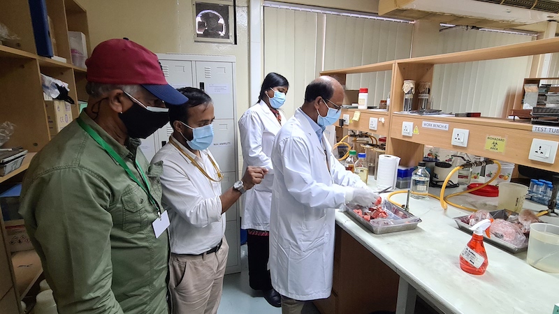 Two men wearing masks observe two lab technicians (one man and one woman) wearing masks preparing fish samples for analysis.
