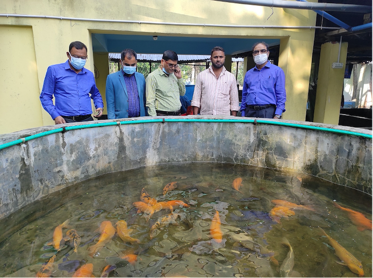 Md. Rafiqul Islam Sarder and Mohammad Matiur Rahman meet with a private hatchery owner in Barisal and with Upazila Fisheries Officer and the government hatchery manager of Barishal Sadar Upazila. Submitted by Rafiqul Sarder, BAU