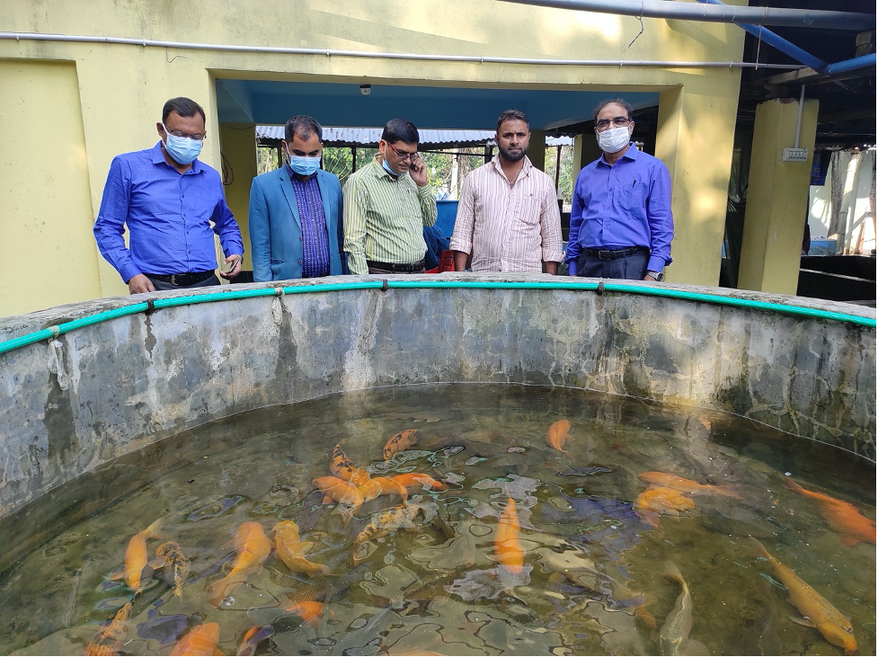Md. Rafiqul Islam Sarder and Mohammad Matiur Rahman meet with a private hatchery owner in Barisal and with Upazila Fisheries Officer and the government hatchery manager of Barishal Sadar Upazila. Submitted by Rafiqul Sarder, BAU.png