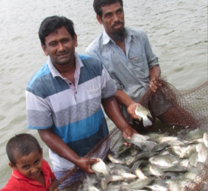Rojob Ali (center) catching fish at his farm