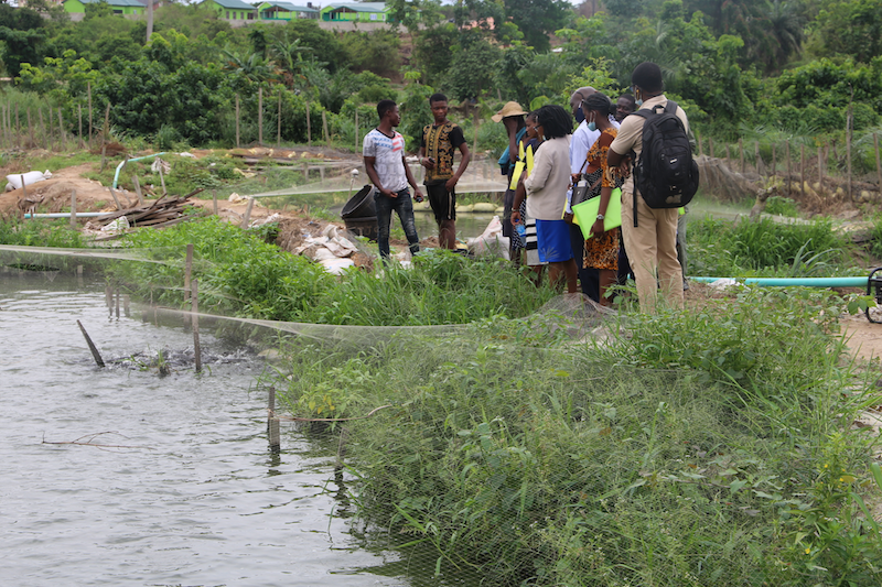 Participants in a Lean Management field training stand near an aquaculture pond in Nigeria