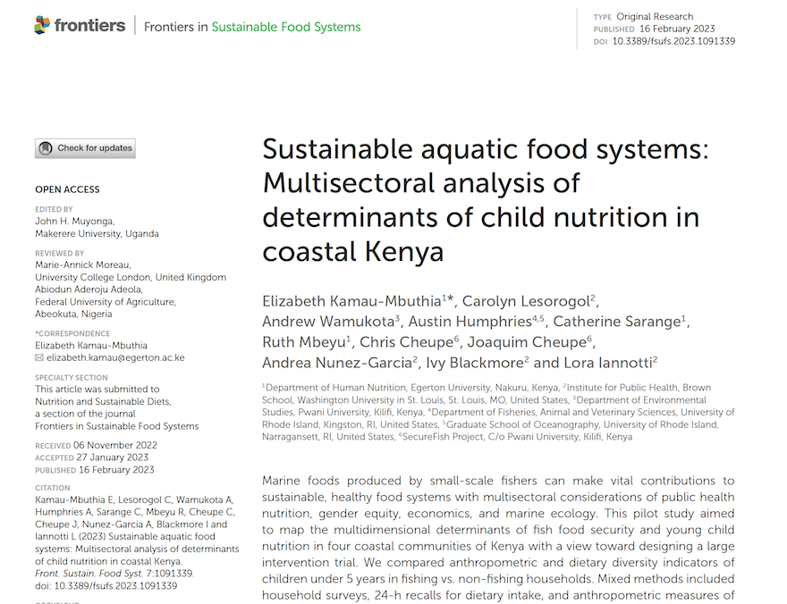 a screen shot of the first page of the publication