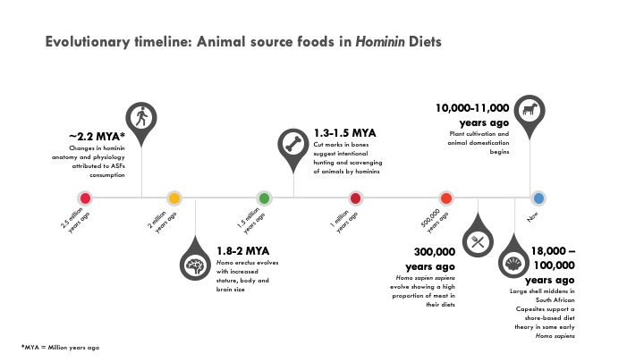 Graphic created by MK Cartmill, MPH student, Wash U, 2020