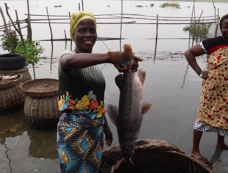 woman with fish harvest in nigeria