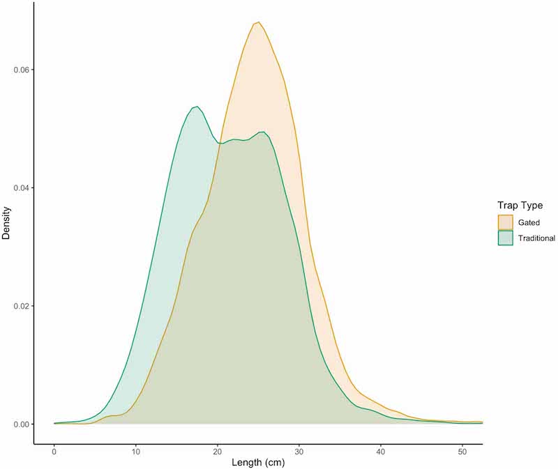 A figure/table showing the length density distribution of fish captured by gated and traditional traps for all individual fishes (n = 25 789).