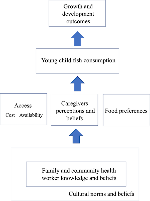 Fig 1. Conceptual framework of factors influencing child fish consumption during the complementary feeding period in Coastal Kenya based on study findings.