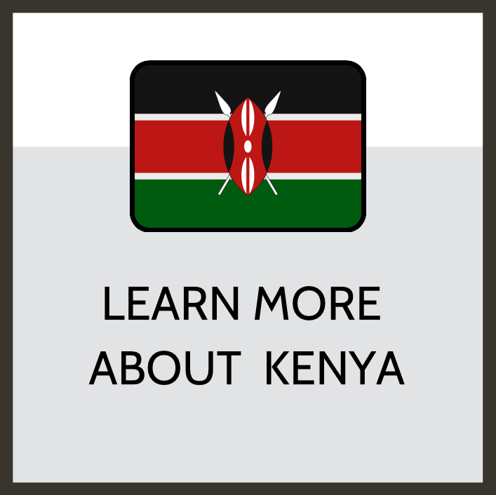learn more about Kenya icon with flag