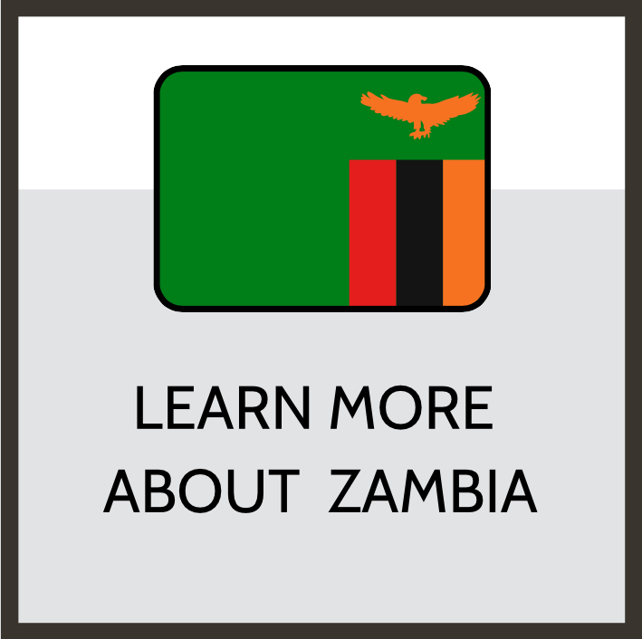 learn more about Zambia icon with flag