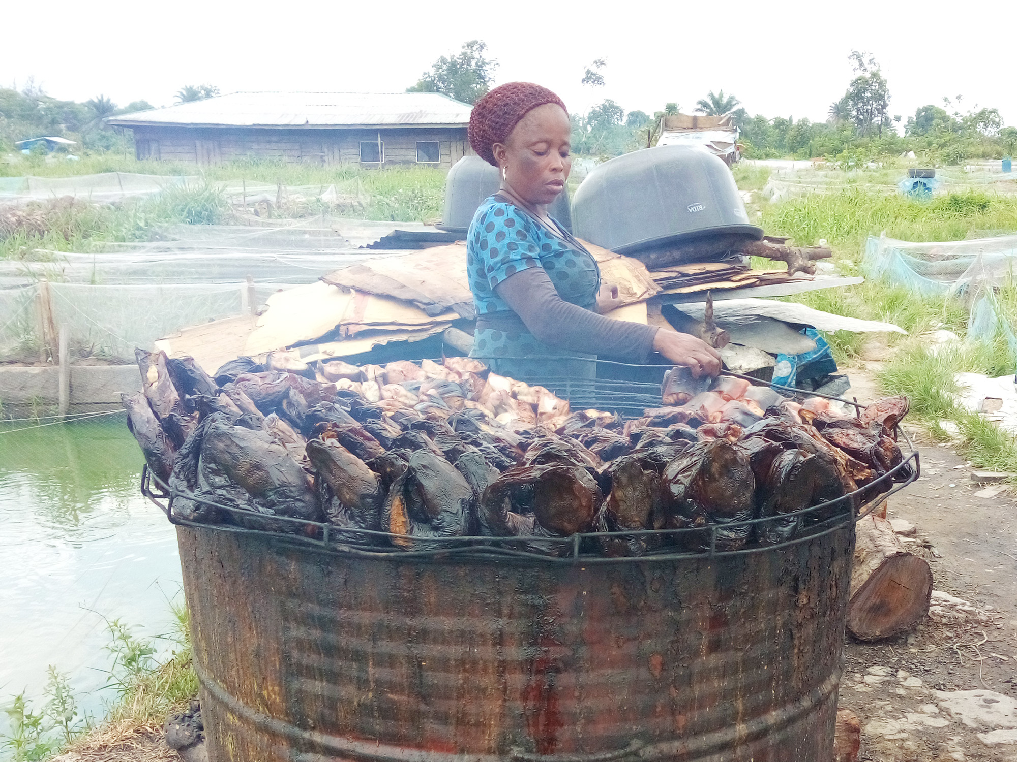 A Nigerian woman cooking fish